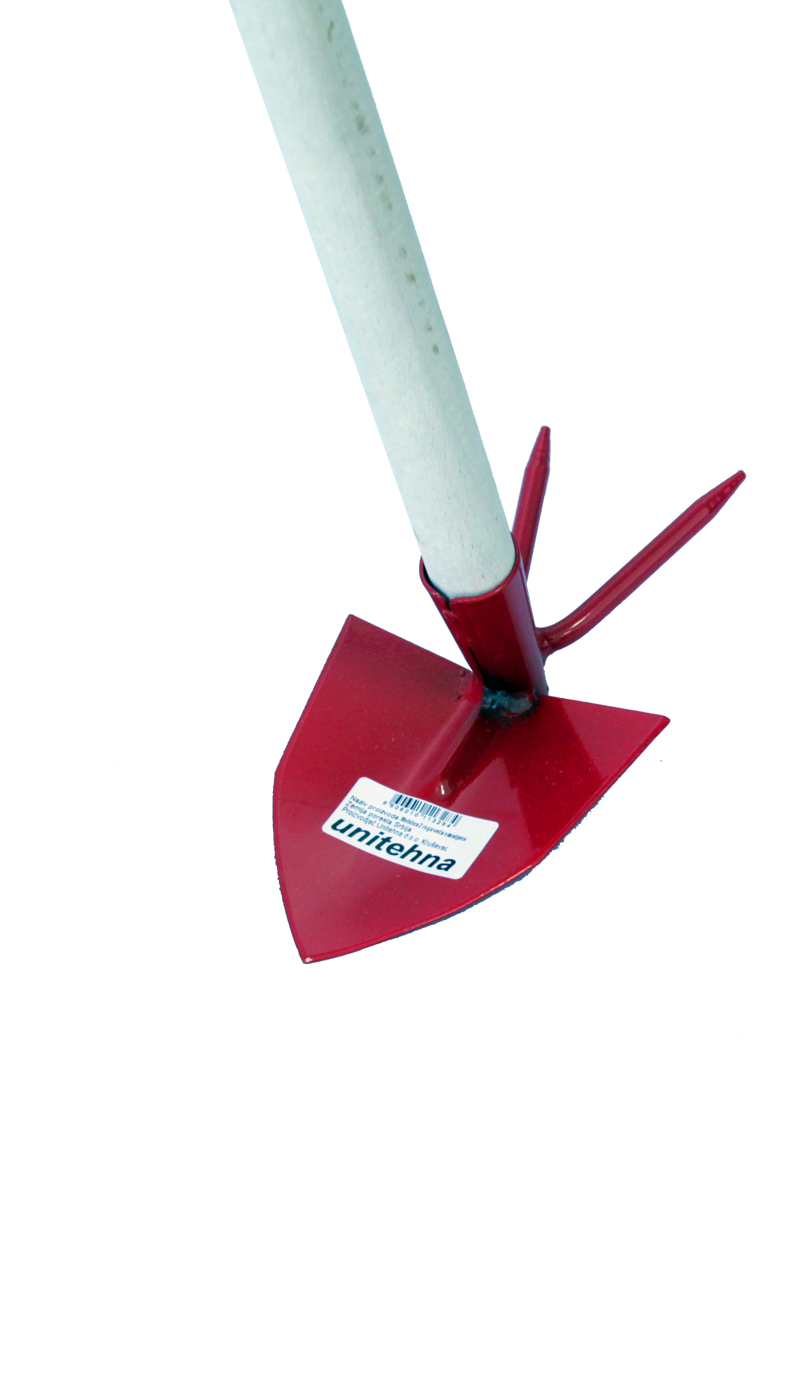 MOTICICA SA DVA ROGA ZA BASTU- VECA NASADJENA